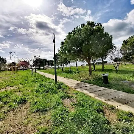 Le Cosy Montpelliérain T3 Avec Parking * Montpellier